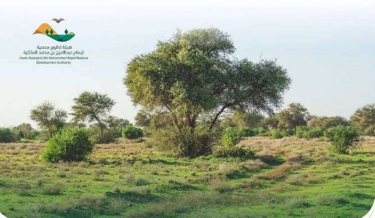 محمية الإمام عبد العزيز بن محمد الملكية