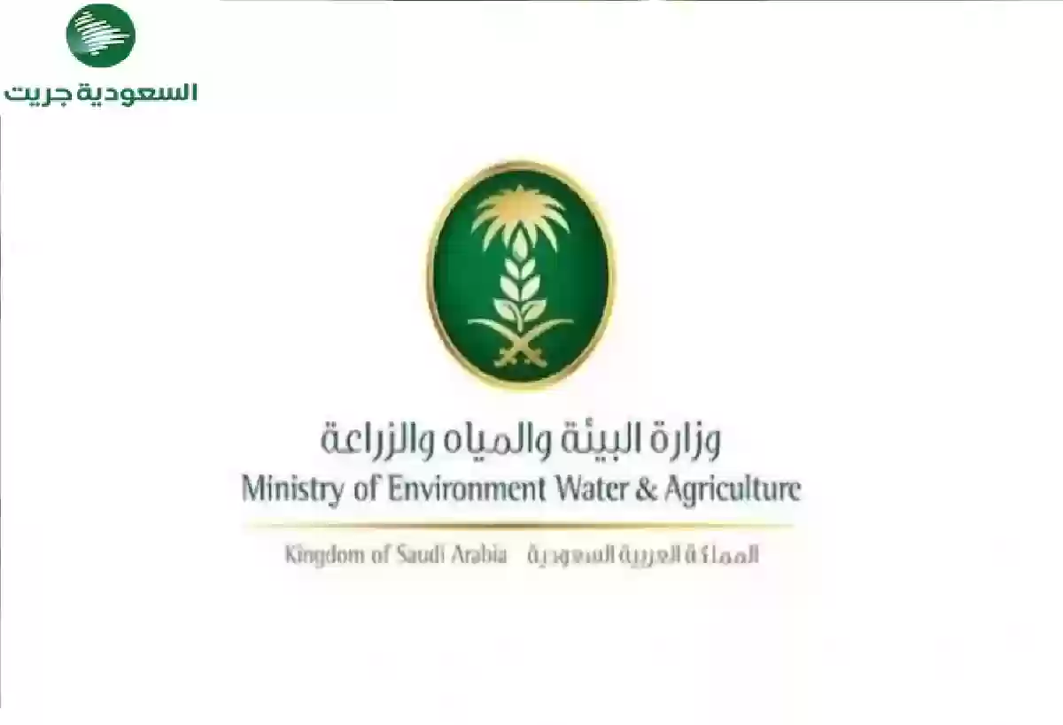 شروط وقيمة دعم المواشي لعام 1445 هـ