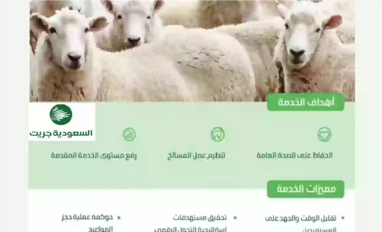 إطلاق خدمة الحجز الإلكتروني لذبح الأضاحي في حائل