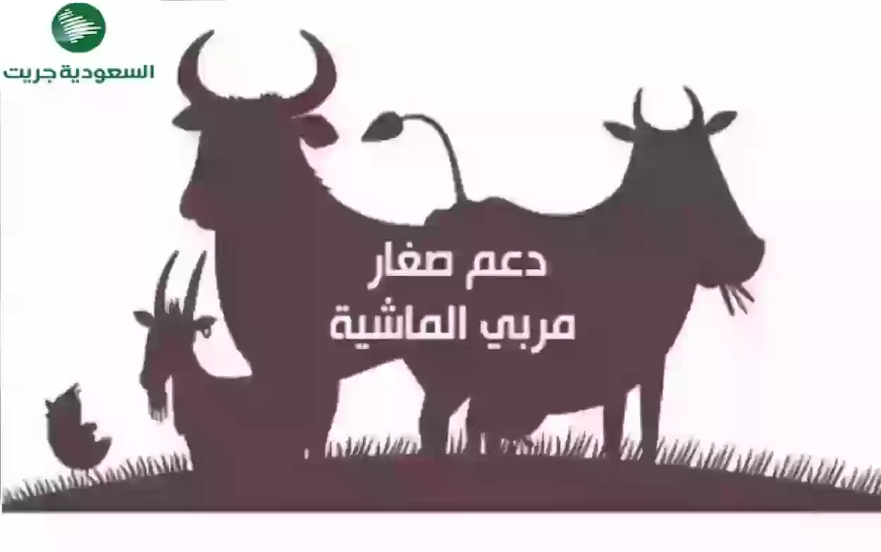 برنامج دعم صغار مربي المواشي في المملكة