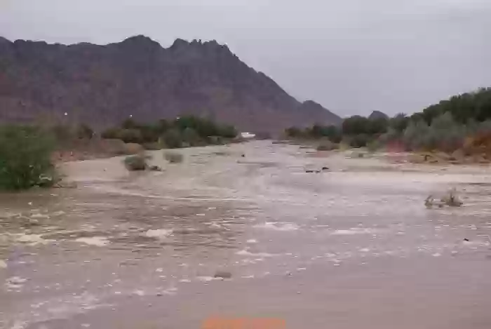 دليل وادي العقيق في المدينة المنورة