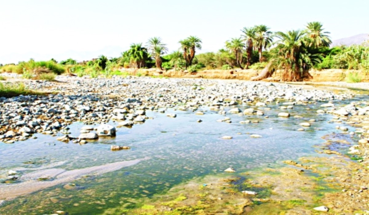 ماذا تعرف عن جبل ثربان في السعودية؟