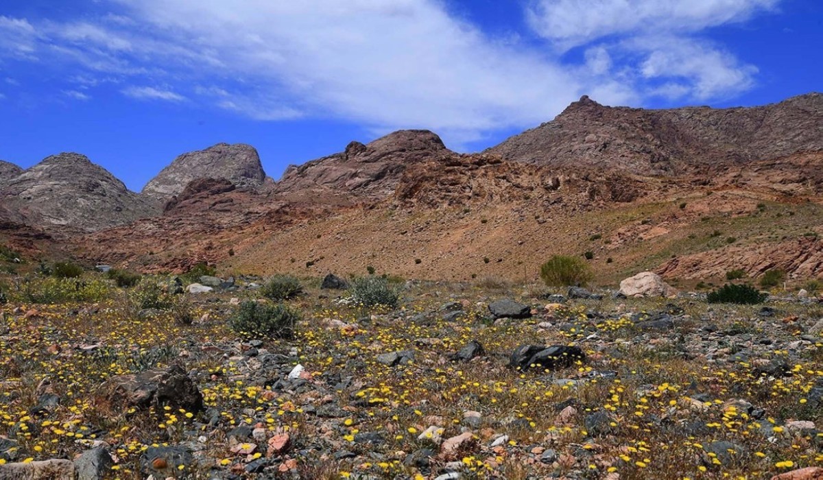 قائمة الجبال في السعودية 