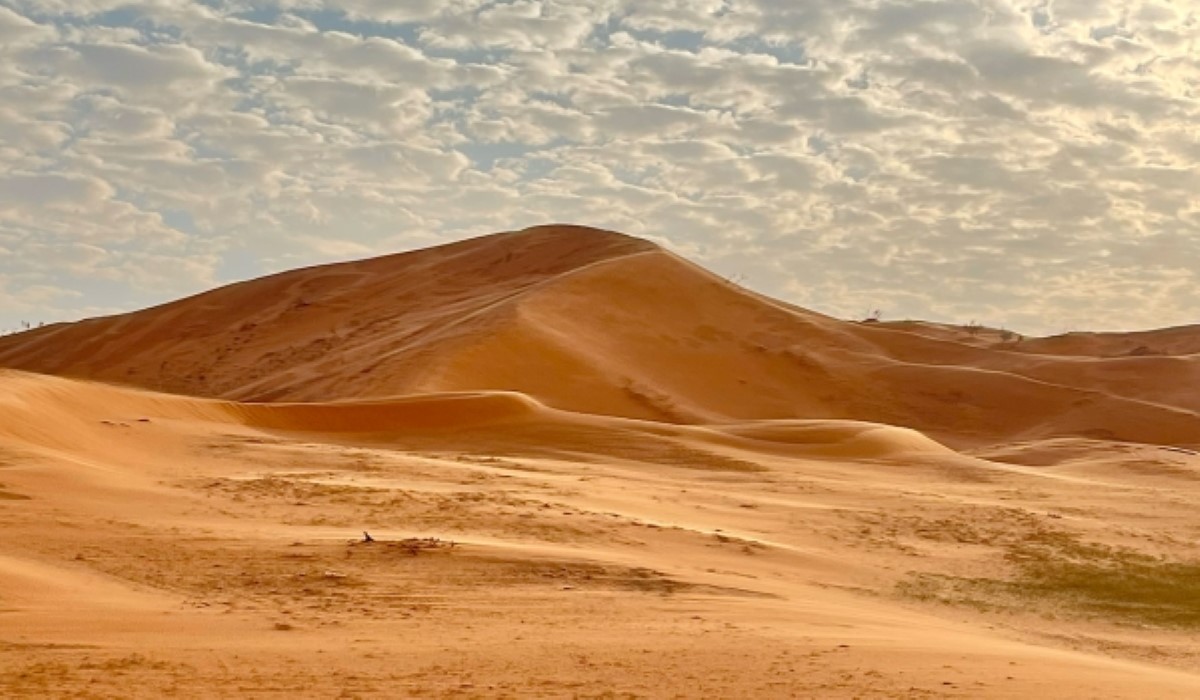 أشهر صحاري في المملكة العربية السعودية