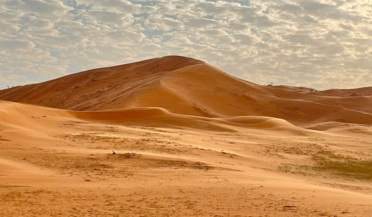 معلومات عن صحراء النفود الكبير في السعودية